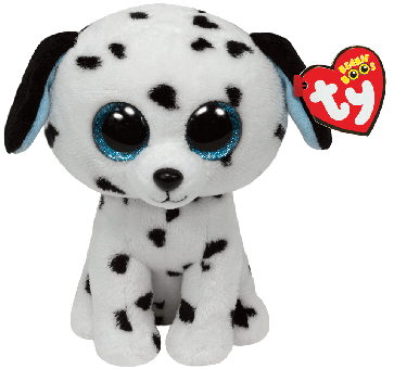 Fetch the Dalmatian