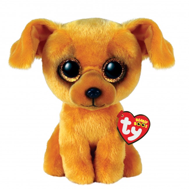 Dachshund hot sale beanie boo