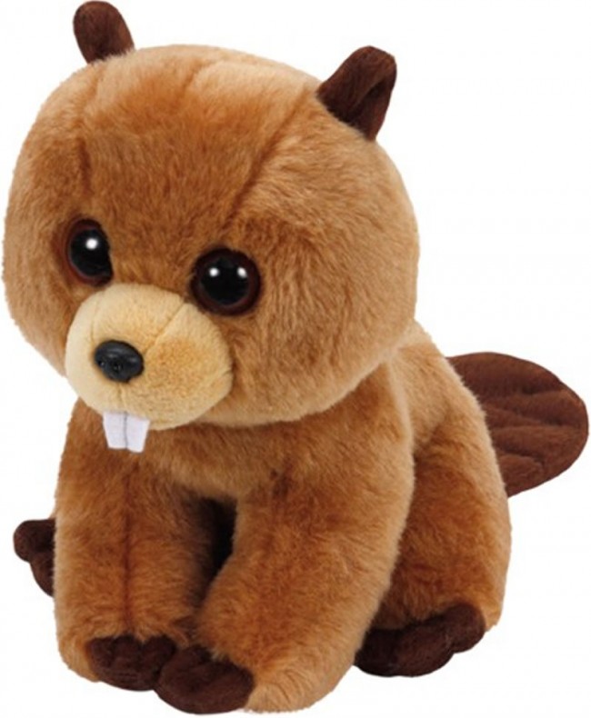 Beaver beanie boo sale