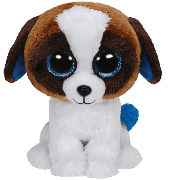 Duke the Brown & White Dog (medium)